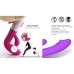 G Spot 30 Speed Rabbit Vibrator