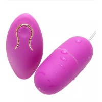 Vibrating Egg